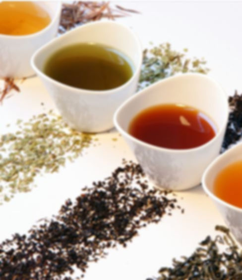 Tea Tasting.JPG