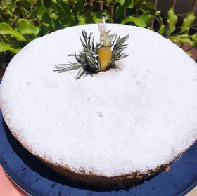 Olive Oil Cake