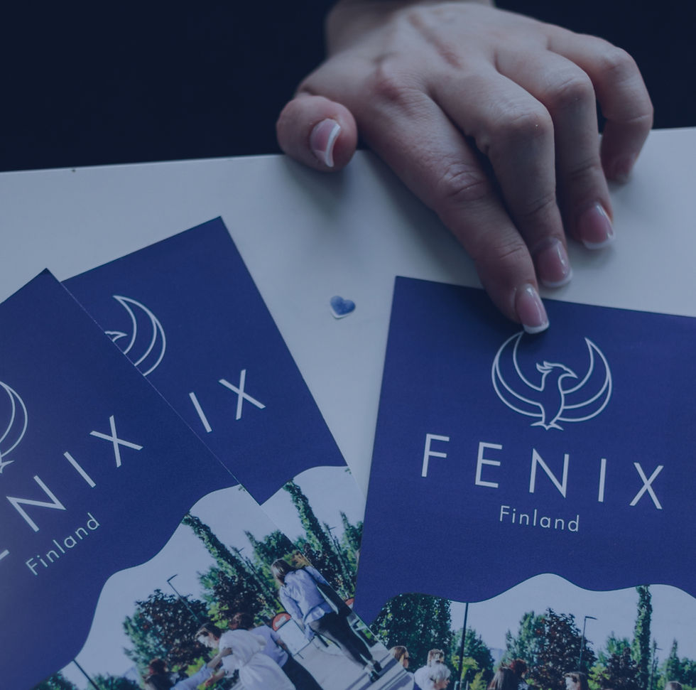 Fenix Finland esitteet