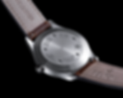 Pelton Sector Watch Caseback