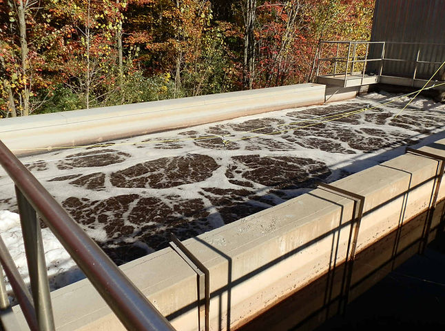 Bioreactor scale solutions