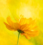 AdobeStock_363270245.jpeg