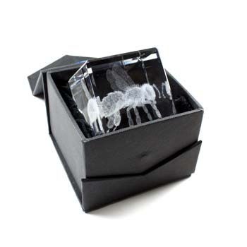 3D Laser Engraved Crystal Cube Paperweight