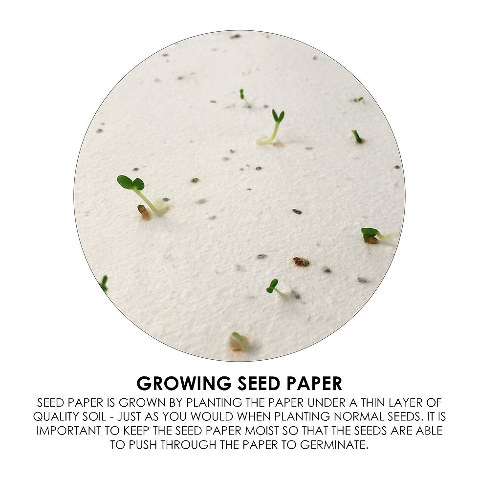 Thumbnail: Branded Daisy Seed Sticky Note Pad