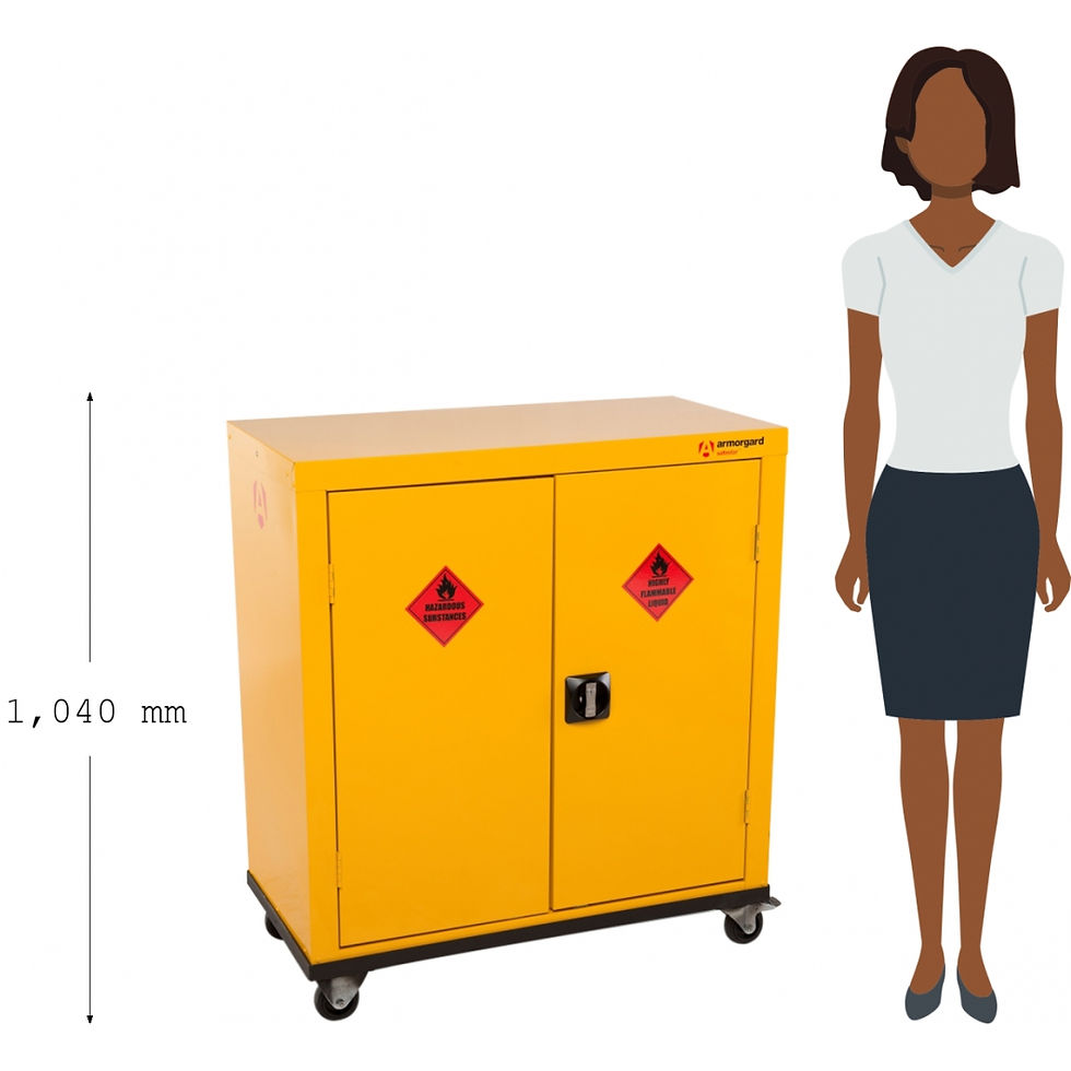 Thumbnail: armorgard mobile safestor HMC2