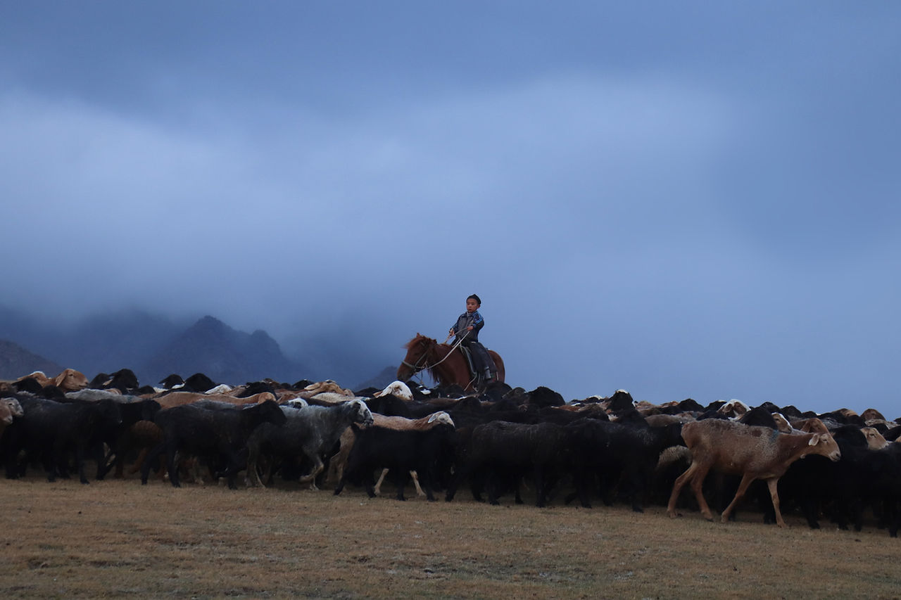 normade trek kirghizistan