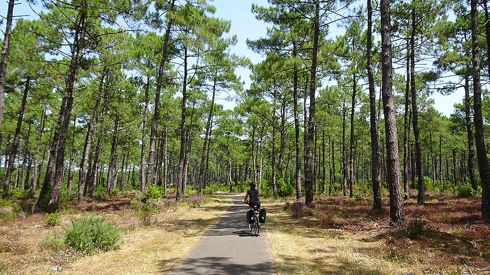 vélodyssée dodosoustente lucie vélo les landes forêt
