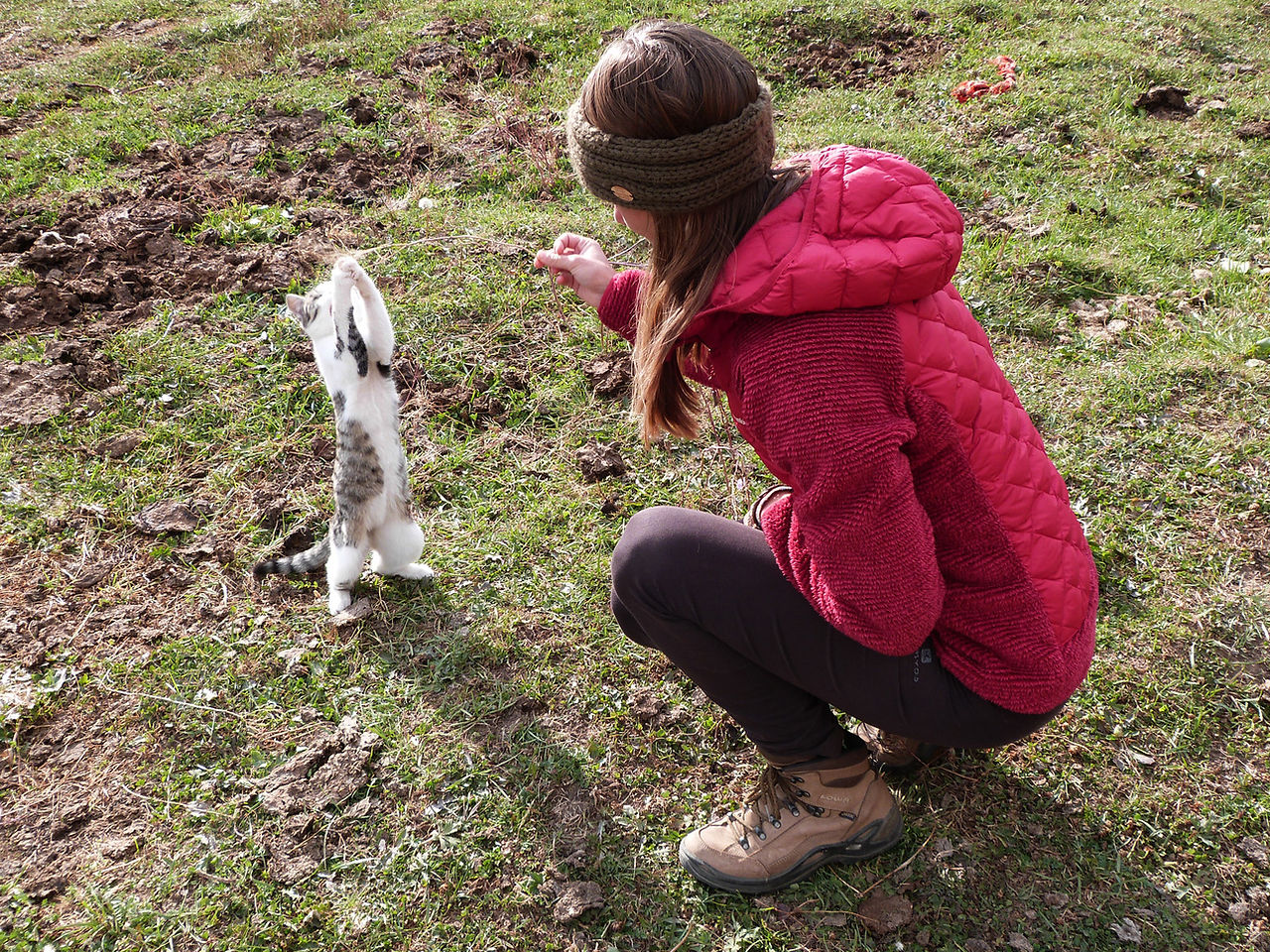 petit chat lors du trek kirghizistan