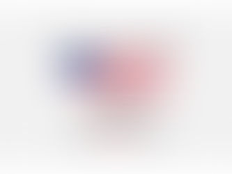 SAYING THANK YOU TO OUR VETERANS ISN'T ENOUGH