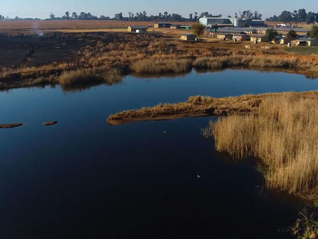 Bringing remote patient care to remote patients with Microsoft Power BI and Azure