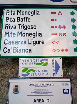 Percorsi.jpeg