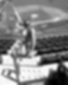 IMG_6181_edited_edited_edited.png