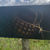 Thumbnail: Woven with Aroha Painting