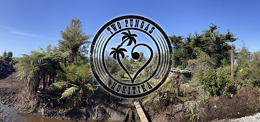 Two pungas banner.jpeg