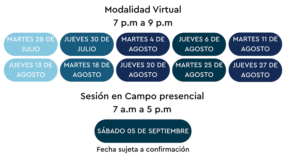 INFORMACIÓN SOBRE EL CURSO (4).png