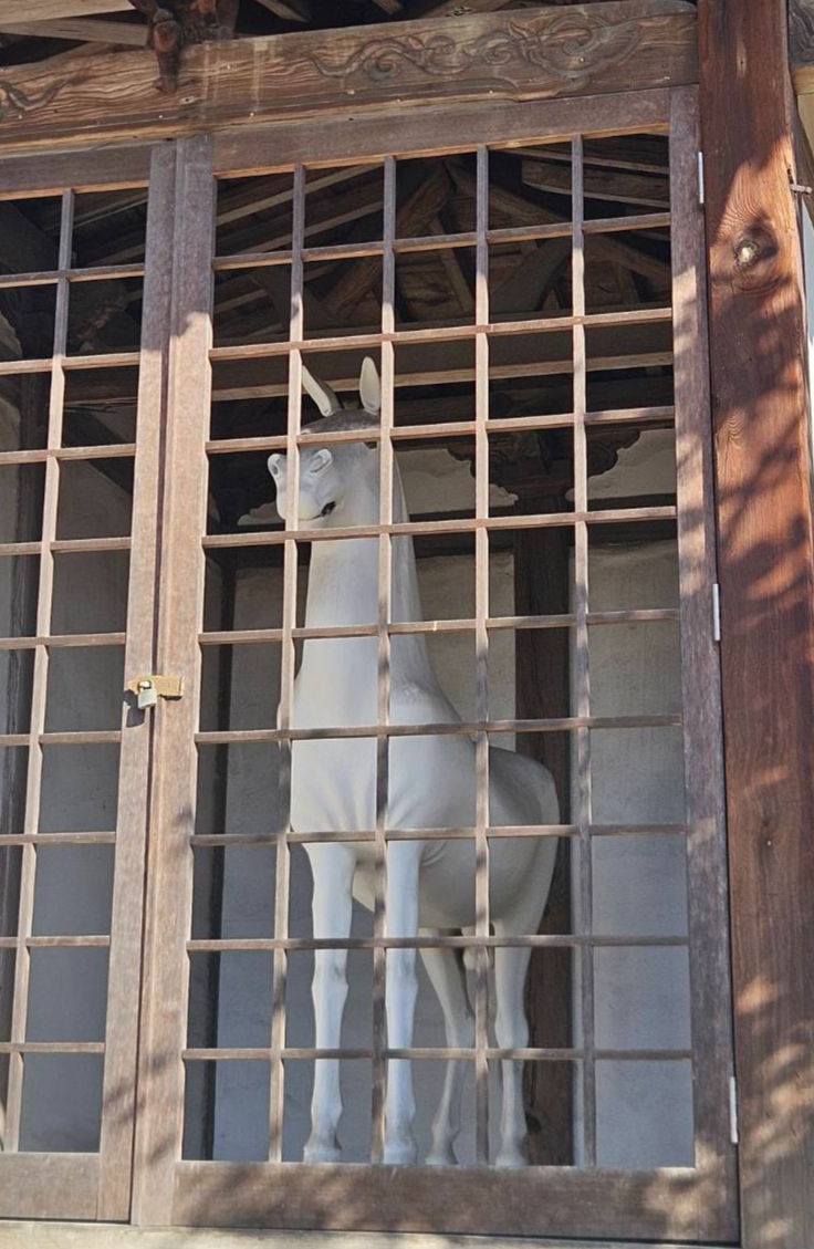 明けましておめでとうございます。