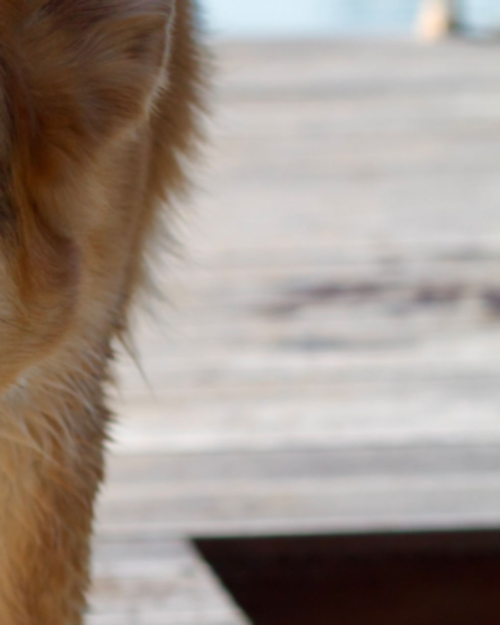 35D264BB-AA2F-4B6C-8123-08D4B632E276.jpeg