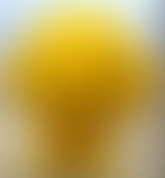 DÍA INTERNACIONAL DE LA FELICIDAD