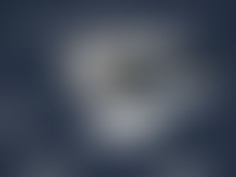 Agitador de Balanceo