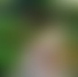 Glamping: La Nueva Tendencia en Turismo de Bienestar