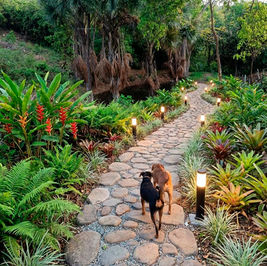 Glamping: La Nueva Tendencia en Turismo de Bienestar