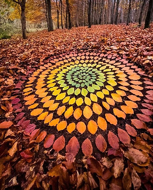 autumn leaves circle 2 2.jpg