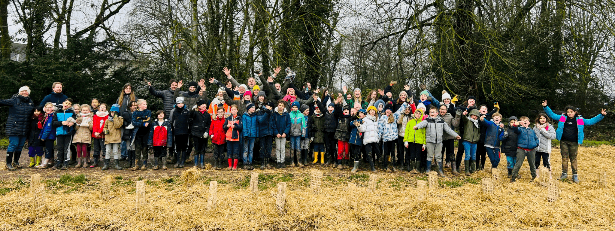 des enfants et des arbres