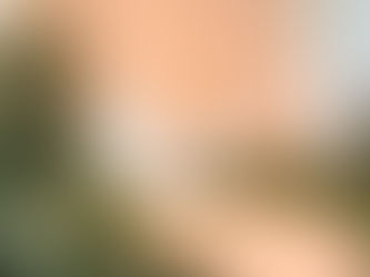 wedding stage rental alberta