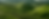 Presence-5.png