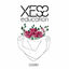 Immagine del redattore: xess_education