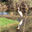 Writer: Esperance Wildlife Sanctuary Inc.