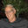 Writer: Bill Stoneberg