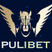 pulibetyenilink
