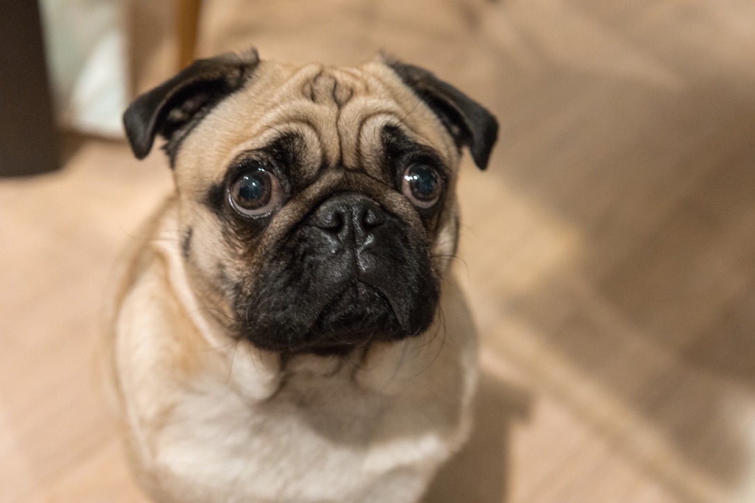 No Member Photo.webp