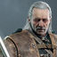 Writer: Vesemir