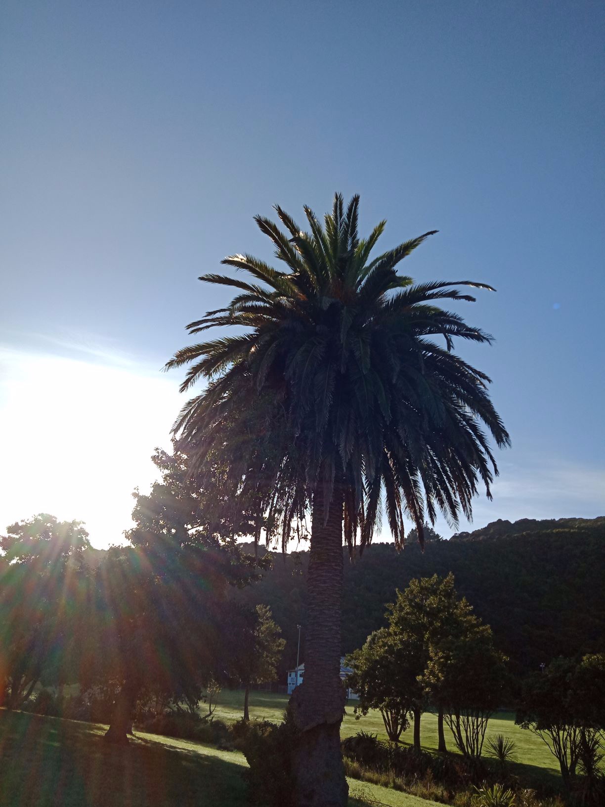 Writer: Lisa Gembitsky