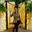 Foto do escritor: Gabriela Fortunato