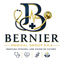 Foto del escritor: luzbernier048