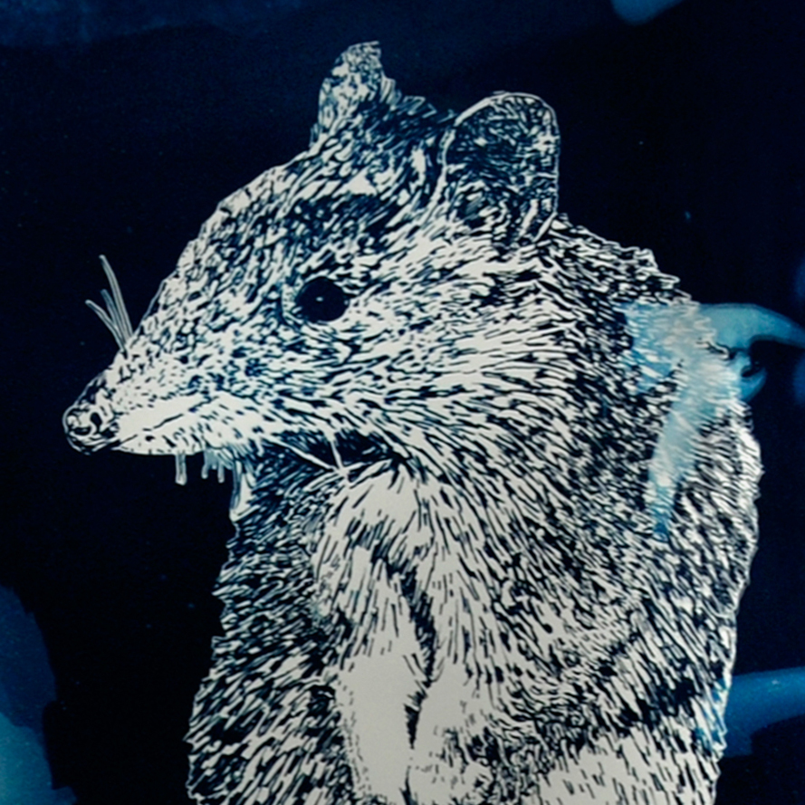 Picturing Climate Network Member Profiles.