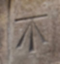 ree