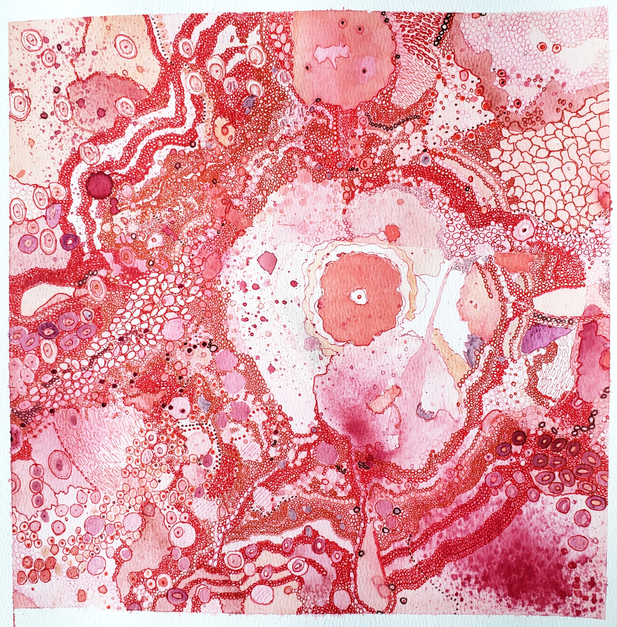 Picturing Climate Network Member Profiles.