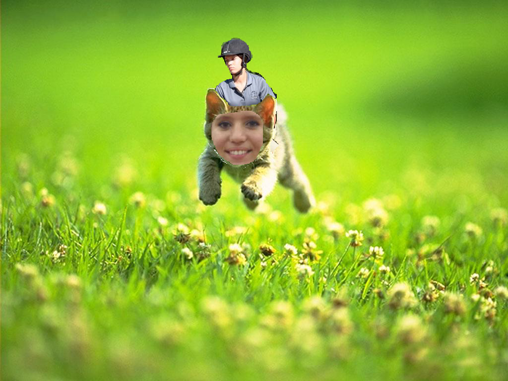 Default Profile Pic.jpg