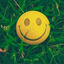 Writer: Sowad