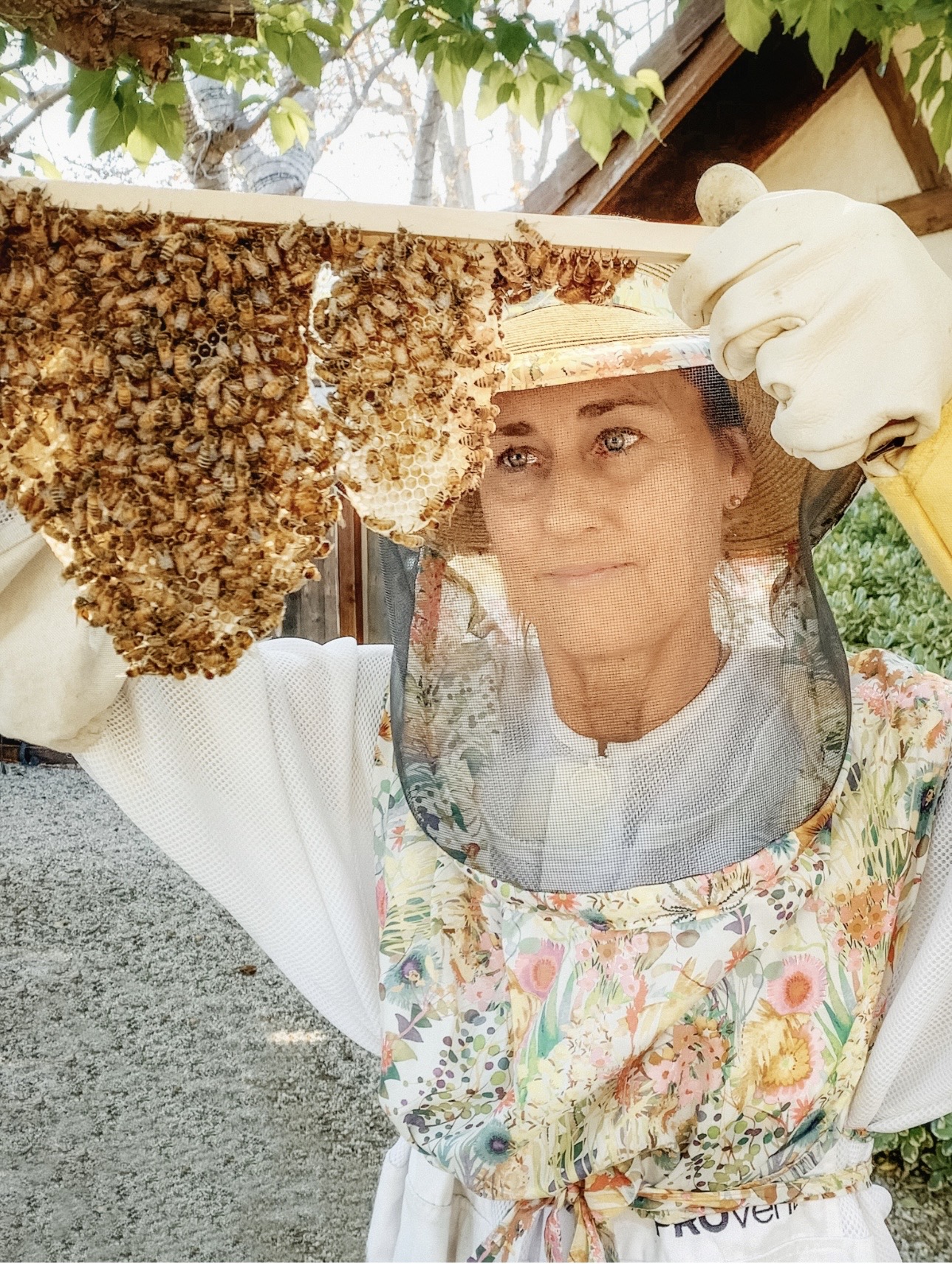 Joy Blanchard's profile photo