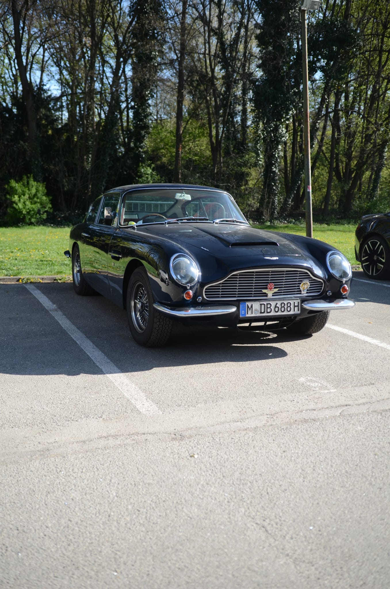 Autorenbild: Groschi