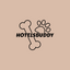 Writer: Hotels Buddy