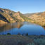 Writer: Williams Lake HOA
