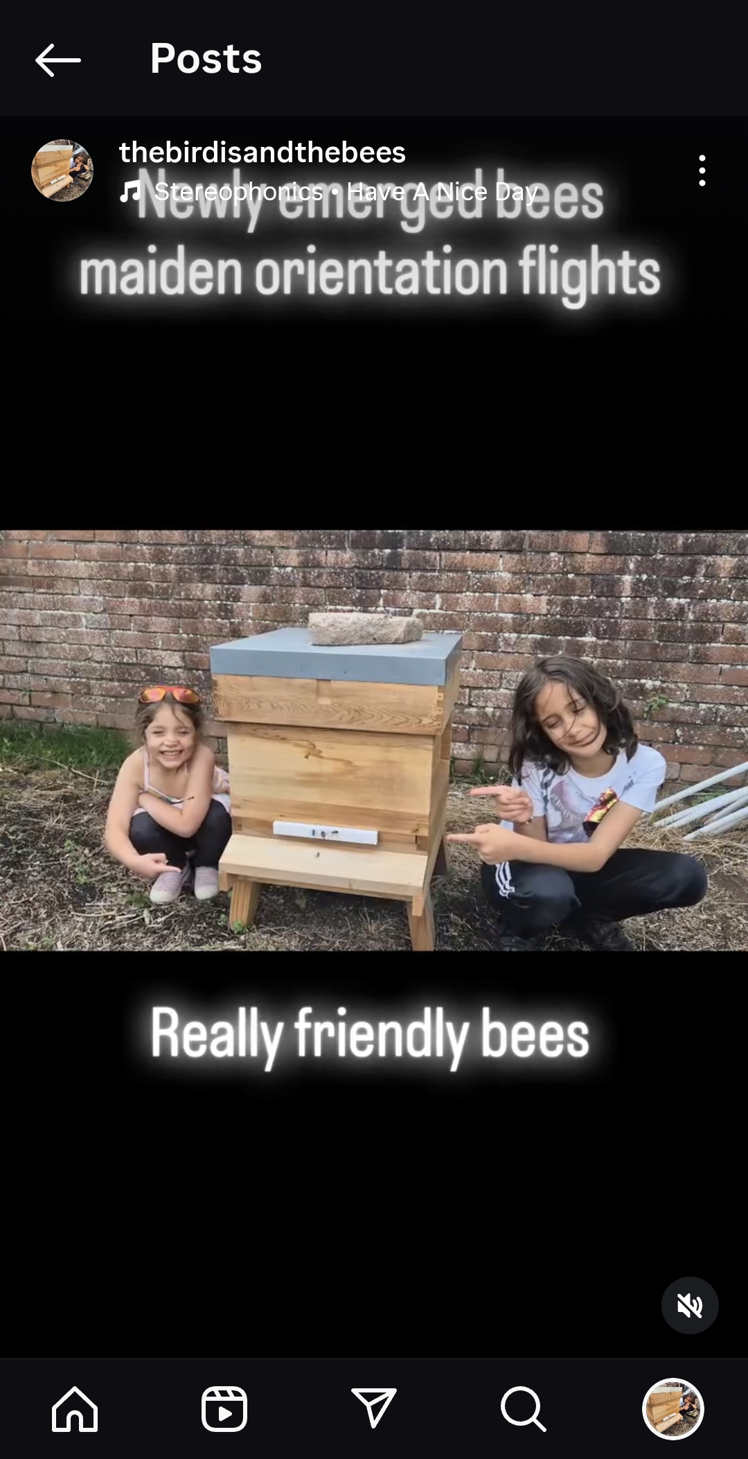 BM Honey Logo - Honey on White Vertical.jpg