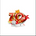 Petruz.zelliGaming781