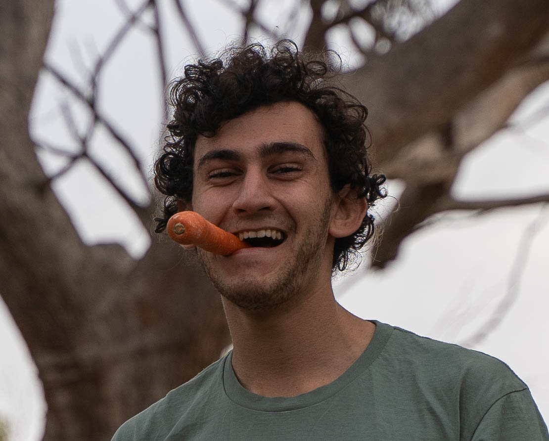 Writer: Daniel Salomon